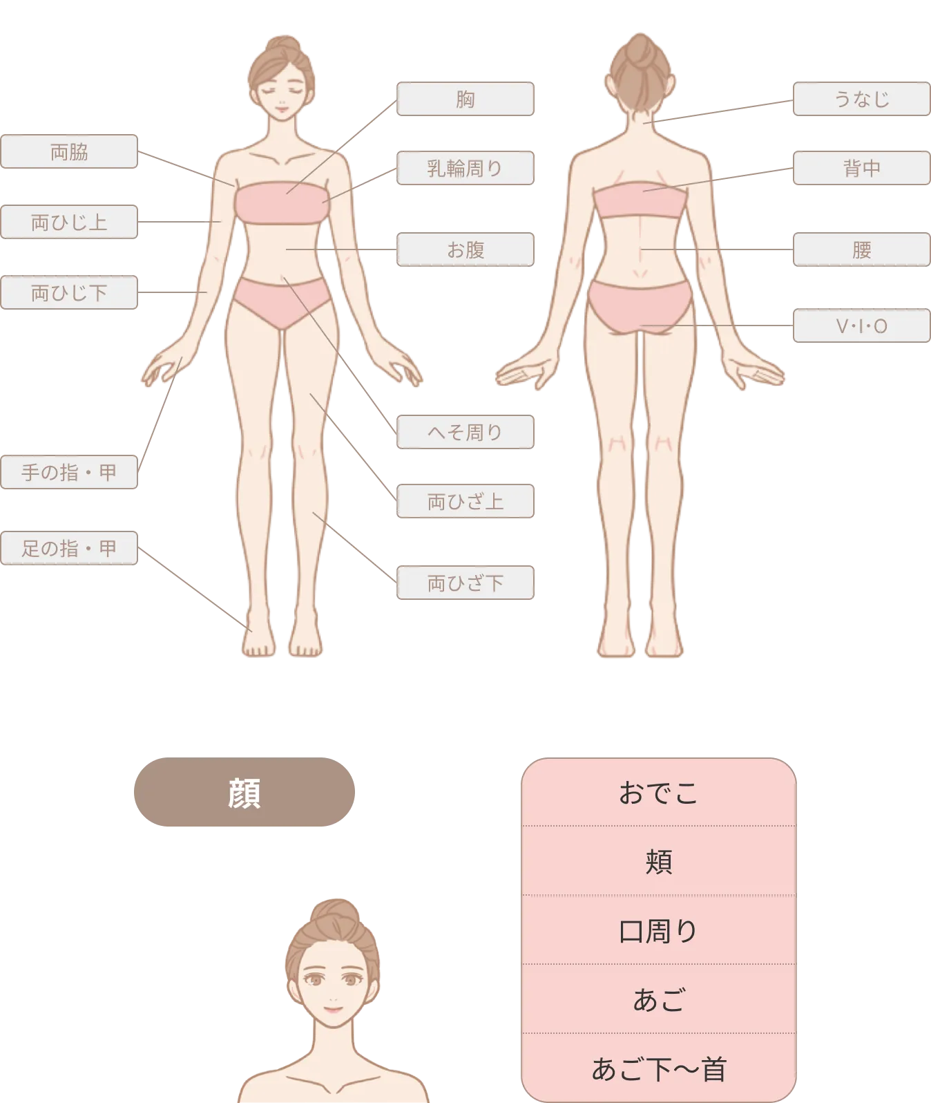 脱毛メニュー